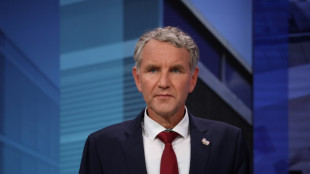 H&ouml;cke verpasst bei Th&uuml;ringen-Wahl auch in Greiz das Direktmandat