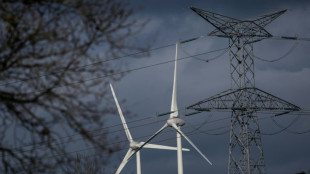 Electricité: le risque sur la sécurité d'approvisionnement sera "faible" cet hiver, selon RTE