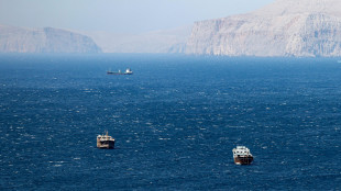 Starmer-Rutte-Macron, 'serve piano sostenibile su riapertura di Hormuz'