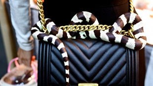 W&uuml;rgeschlange kriecht in Hannover durch Keller 