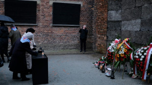 Anniversaire de la lib&eacute;ration d'Auschwitz: un des "plus difficiles", pour le directeur du site