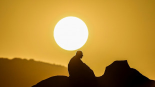 Egypt to prosecute travel agents over hajj 'fraud': government