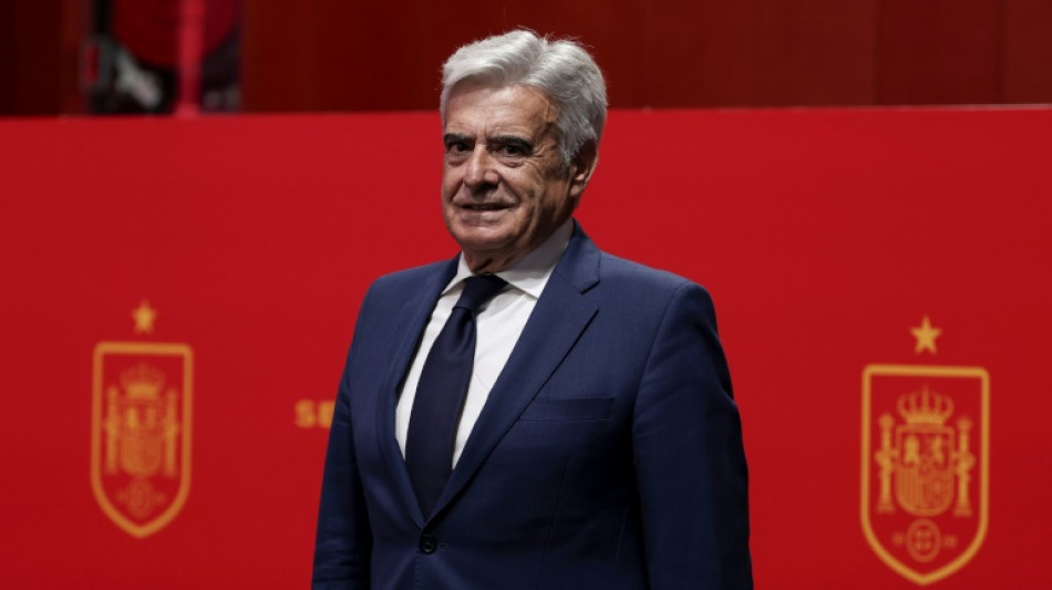 Pedro Rocha &eacute; anunciado como novo presidente da Federa&ccedil;&atilde;o Espanhola de Futebol