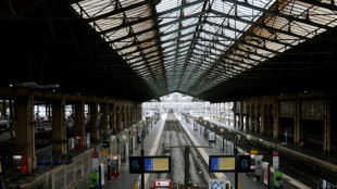 Grève SNCF: le trafic francilien "fortement perturbé" lundi sur certaines lignes