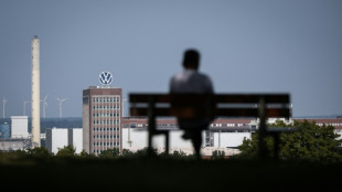 FDP zweifelt an Sinn von Habecks Autogipfel - Klage &uuml;ber "Missmanagement" bei VW