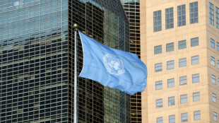 En las crisis que sacuden al mundo, Rusia lidera las discusiones en la ONU