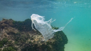 UN-Plastikabkommen: 184 Staaten treffen sich in Genf für letzten Verhandlungstag