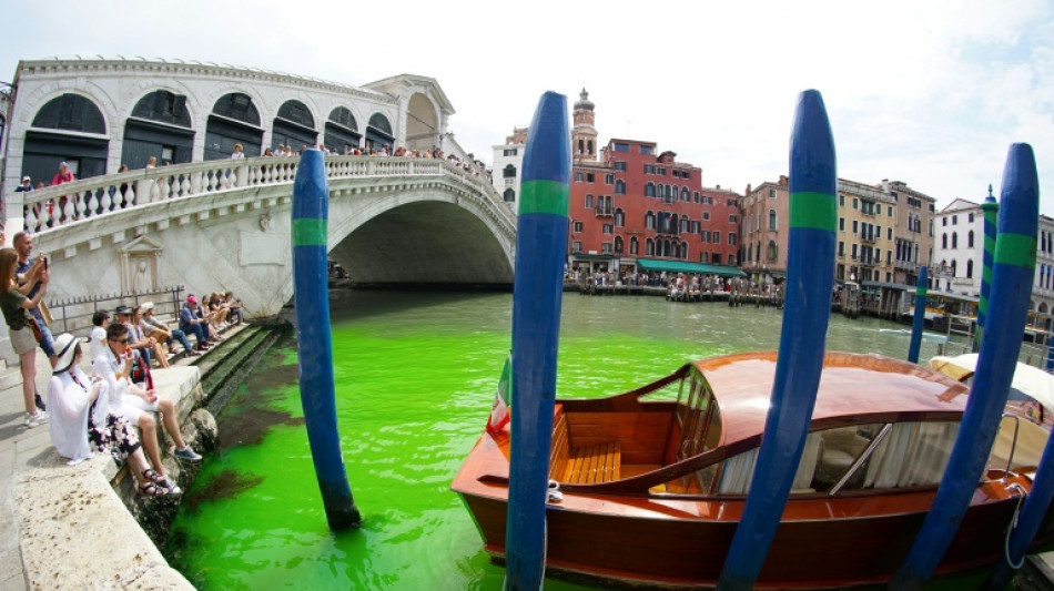 Venice's Grand Canal turns phosphorescent green