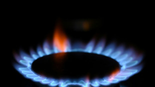Gazprom stoppt Lieferungen an niederländisches Energieunternehmen