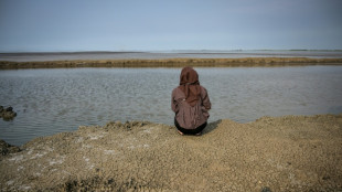 Two decades later, impacts from Indonesia mud volcano linger