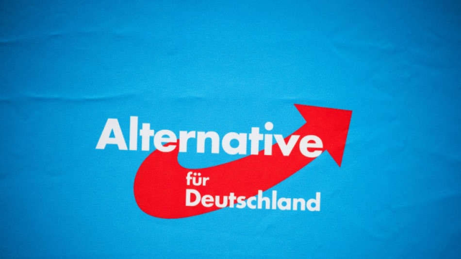 Konkurrierende AfD-Listen zu B&uuml;rgerschaftswahl in Bremen abgewiesen