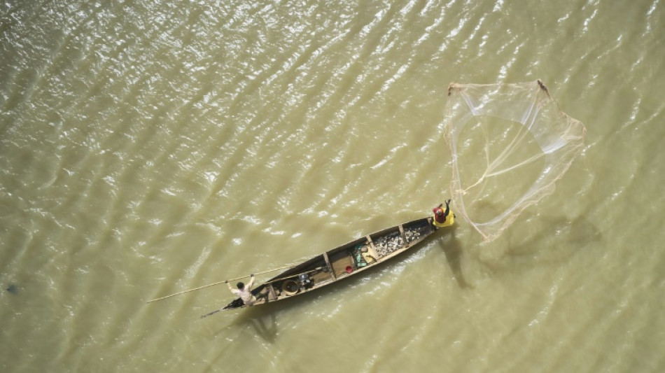 Accord sur la p&ecirc;che: l'OMC promet des millions aux pays en d&eacute;veloppement