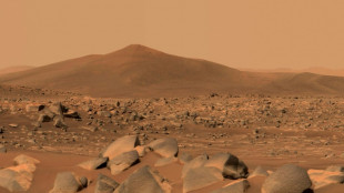 Pleine d'ambitions pour Mars, la Nasa rattrap&eacute;e par des questions de budget sur Terre