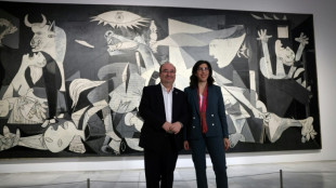 Movilizaci&oacute;n art&iacute;stica "sin precedentes" para los 50 a&ntilde;os de la muerte de Picasso