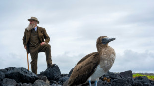 Emeritierter US-Professor besucht Gal&aacute;pagos-Inseln im Darwin-Kost&uuml;m