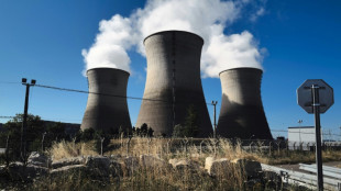 S&ucirc;ret&eacute; nucl&eacute;aire: nouvelle bataille &agrave; l'Assembl&eacute;e sur le projet de fusion ASN-IRSN