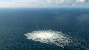 Selenskyj: Ukraine war nicht an Anschl&auml;gen auf Nord-Stream-Pipelines beteiligt