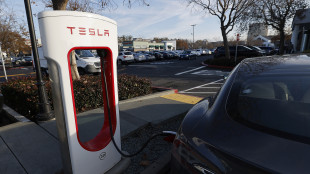 Vendite Tesla in calo dell'8,6% nel 2025, Byd nuova regina dell'elettrico