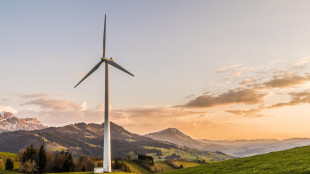 Elettricit&agrave; Futura, TU rinnovabili complica, non semplifica