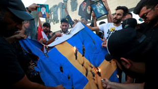Iran und Saudi-Arabien bestellen nach Koran-Sch&auml;ndung Botschafter Schwedens ein