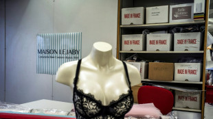 L'enseigne de lingerie Maison Lejaby reprise par un attelage franco-indon&eacute;sien