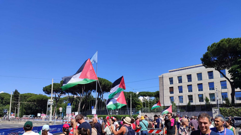 Bloccati al Cairo due attivisti Pro Pal di Torino