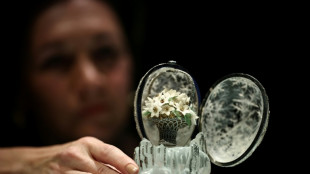 L'&OElig;uf d'Hiver Faberg&eacute; aux ench&egrave;res, record de prix attendu