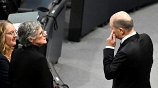 Gr&uuml;nen-Fraktion will Haushalt 2025 im Bundestag "gr&uuml;ndlich nachverhandeln"