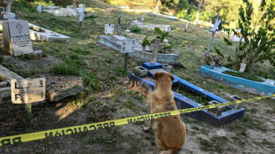 M&eacute;xico acelera busca por desaparecidos no maior cemit&eacute;rio do pa&iacute;s