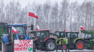 EU einigt sich auf Deckel f&uuml;r zollfreie Einfuhr von Agrarprodukten aus Ukraine