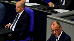 Konstruktives Misstrauensvotum f&uuml;r Merz "aus heutiger Sicht keine Option"