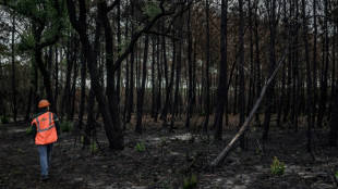 Climate change tests limits of Mediterranean wildfire strategy