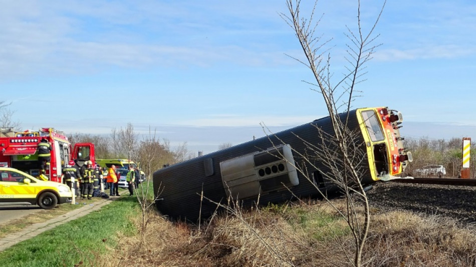 Cinco muertos en una colisión entre un tren y un vehículo en Hungría