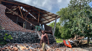 Shallow Indonesian quake damages houses, injures residents