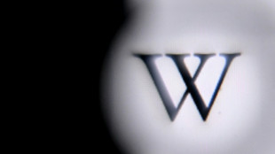 Procurador acusa Wikipédia de permitir manipulação de informação