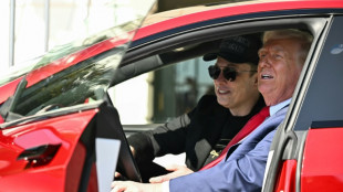 Nach hohen Verlusten bei Tesla: Musk will Arbeit für Trump-Regierung herunterfahren