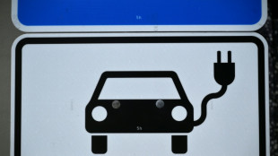 Bis zu 5000 Euro: Koalition k&uuml;ndigt Kaufpr&auml;mie f&uuml;r E-Autos und Plugin-Hybride an