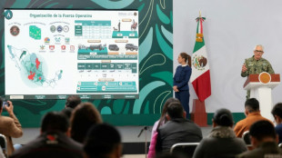M&eacute;xico desplegar&aacute; casi 100.000 efectivos de seguridad para el Mundial