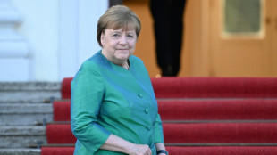 Steinmeier w&uuml;rdigt anl&auml;sslich des 70. Geburtstag Merkels deren Verdienste