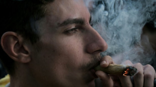 Evaluation Cannabis-Legalisierung: Kein Anstieg von Konsum - aber andere Probleme