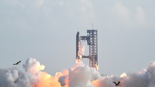 SpaceX answers critics with successful Starship test flight