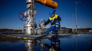 Il gas si mantiene sotto i 51 euro sulla piazza Ttf di Amsterdam