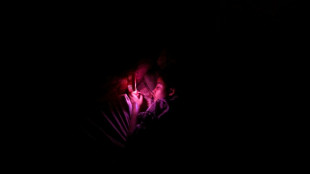 Les nuits caniculaires, une épreuve pour le sommeil et une menace pour la santé