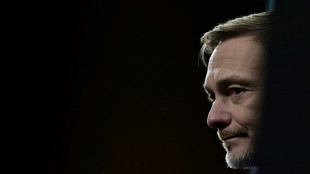 Lindner und D&uuml;rr stellen "D-Day-Papier" als unwichtig dar