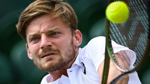 Belgium's Goffin to retire at end of season