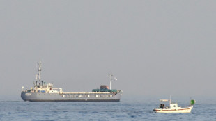 D&eacute;part de Chypre d'un deuxi&egrave;me bateau amenant de l'aide &agrave; Gaza
