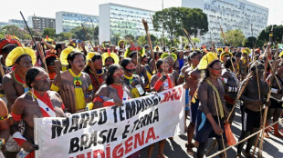 Brazil delays key Indigenous land rights trial