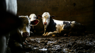 Dangerous livestock pest case confirmed in Texas