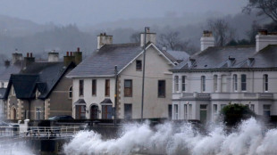 Sturm "Eowyn" richtet in Irland und Gro&szlig;britannien Verw&uuml;stungen an