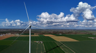 Energie: le Sénat approuve à nouveau sa loi de programmation, malgré la discorde gouvernementale